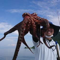 遊漁船　家入 釣果