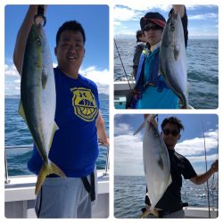 ビッグファイター 釣果