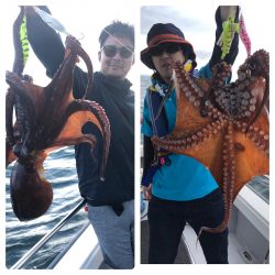 ビッグファイター 釣果