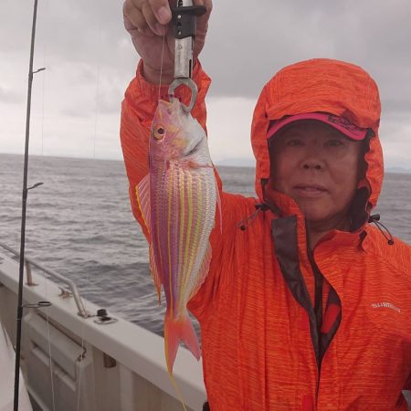 ARCADIAⅡ (アルカディアⅡ) 釣果