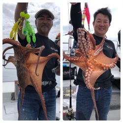 ビッグファイター 釣果