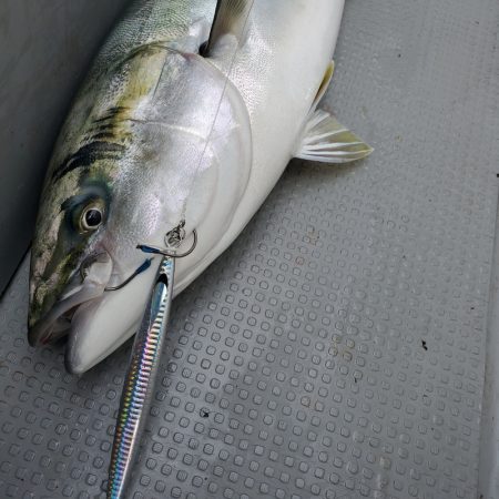 サンマリン 釣果