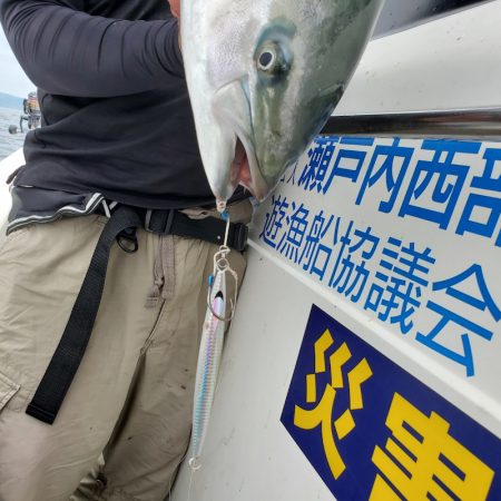 サンマリン 釣果