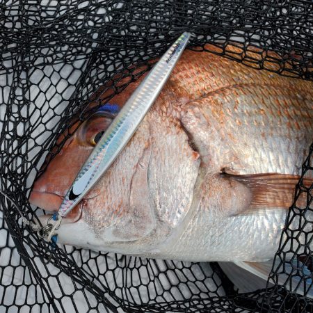 サンマリン 釣果