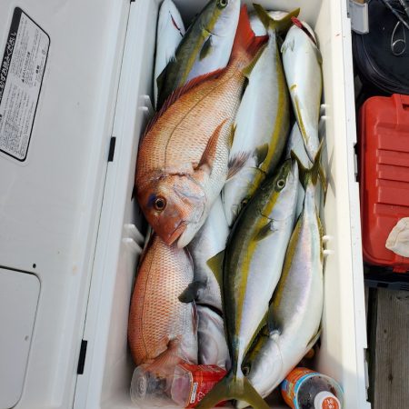 サンマリン 釣果