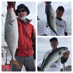 ビッグファイター 釣果