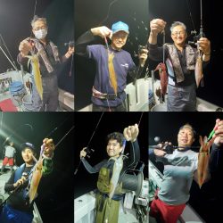 シーライオン 釣果