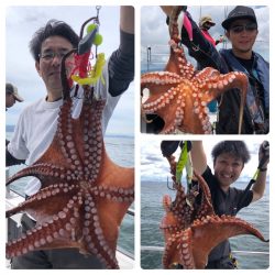 ビッグファイター 釣果