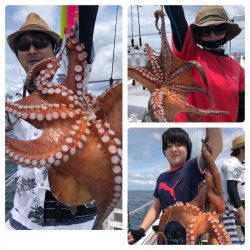 ビッグファイター 釣果