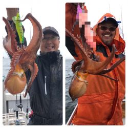 ビッグファイター 釣果