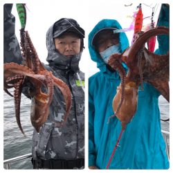 ビッグファイター 釣果