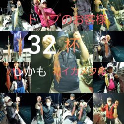 シーライオン 釣果