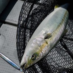 サンマリン 釣果