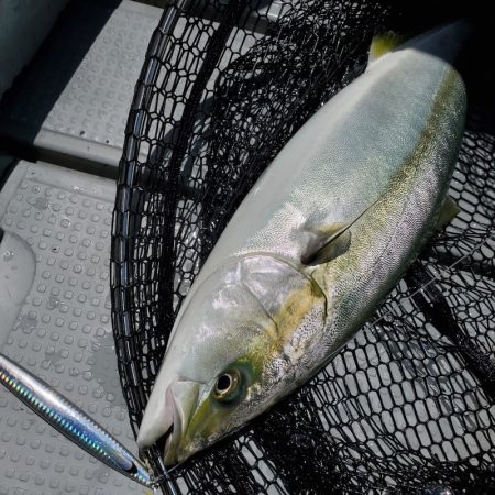 サンマリン 釣果