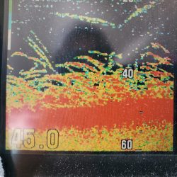 サンマリン 釣果