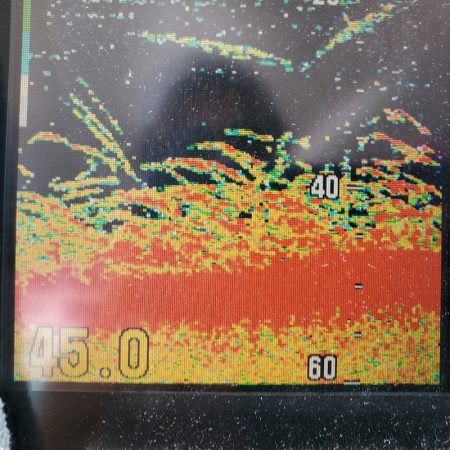 サンマリン 釣果