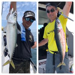 ビッグファイター 釣果