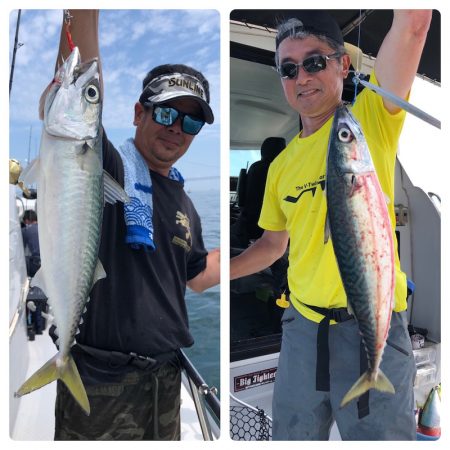 ビッグファイター 釣果