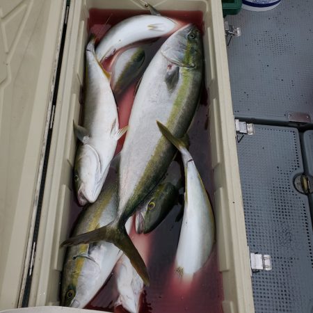 サンマリン 釣果