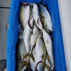 サンマリン 釣果