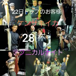 シーライオン 釣果