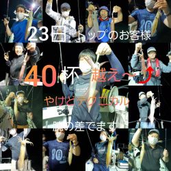 シーライオン 釣果