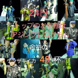 シーライオン 釣果