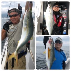 ビッグファイター 釣果