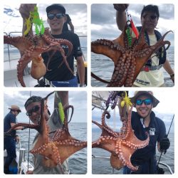 ビッグファイター 釣果