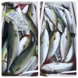 ビッグファイター 釣果