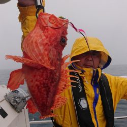 ARCADIAⅡ (アルカディアⅡ) 釣果