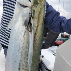 サンマリン 釣果