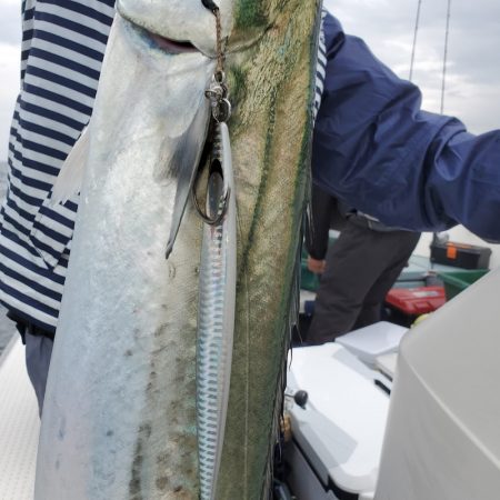 サンマリン 釣果