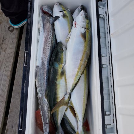 サンマリン 釣果