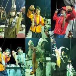 シーライオン 釣果