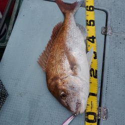 サンマリン 釣果