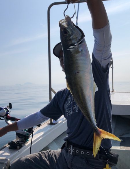 フィッシング キッタカ 釣果