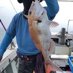 フィッシング キッタカ 釣果