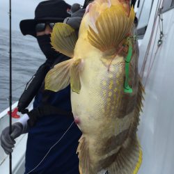 渡船屋たにぐち 釣果