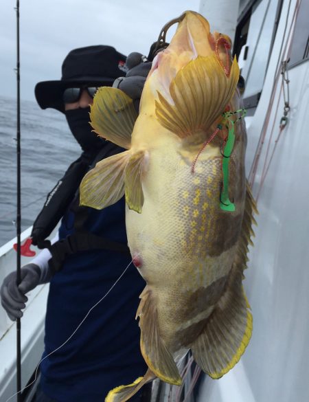 渡船屋たにぐち 釣果