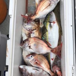 フィッシング　キッタカ 釣果