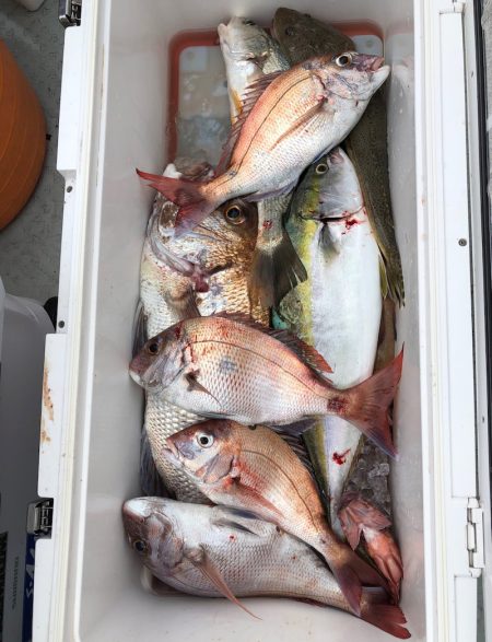 フィッシング　キッタカ 釣果