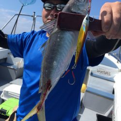 渡船屋たにぐち 釣果