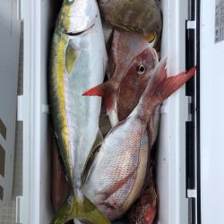 フィッシング キッタカ 釣果