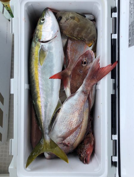 フィッシング キッタカ 釣果