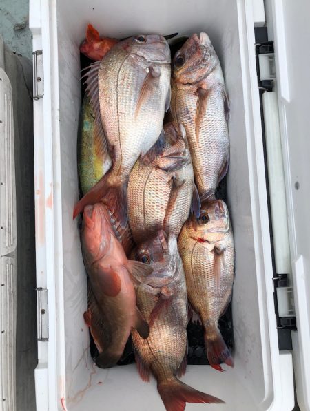 フィッシング キッタカ 釣果