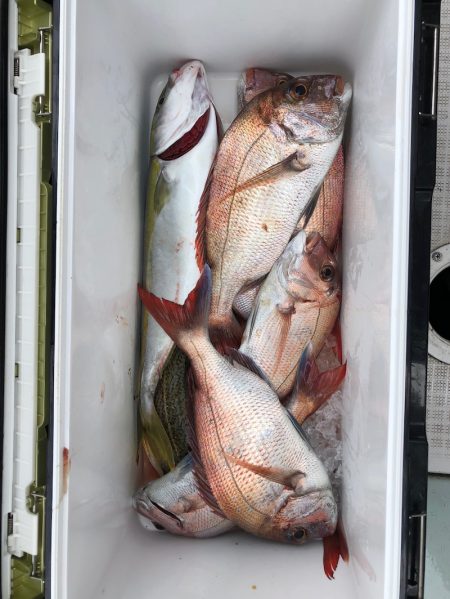 フィッシング　キッタカ 釣果