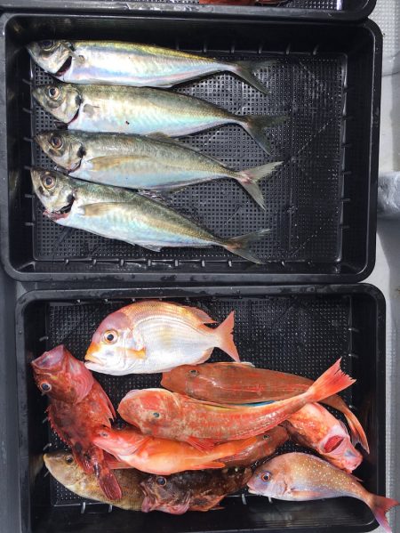 渡船屋たにぐち 釣果