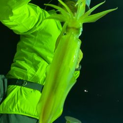 あみや渡船 JIGBOY 釣果