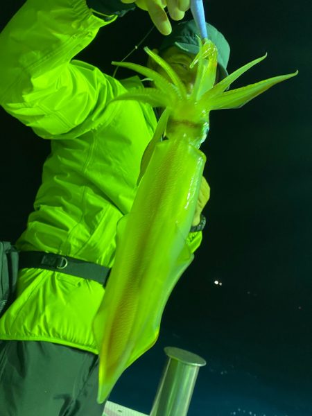 あみや渡船 JIGBOY 釣果